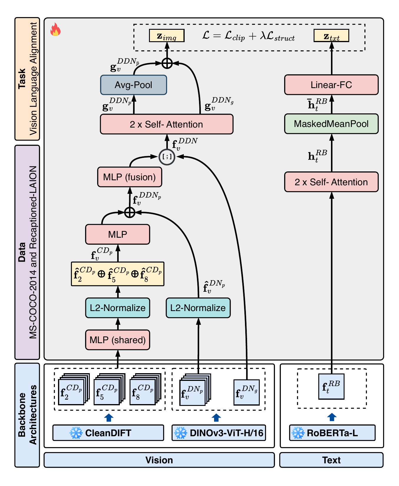 TDDN architecture