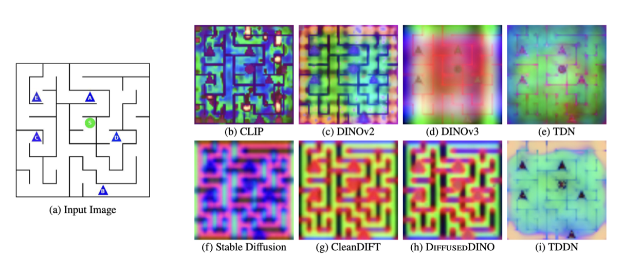 PCA visualisation on Maze, including TDN and TDDN