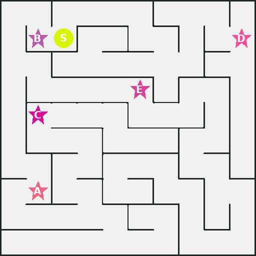 Maze sample