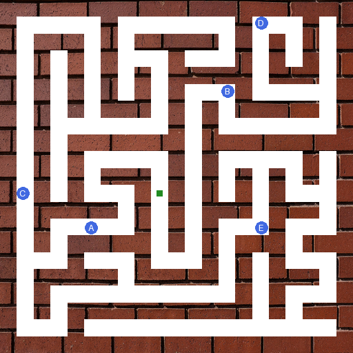Maze sample