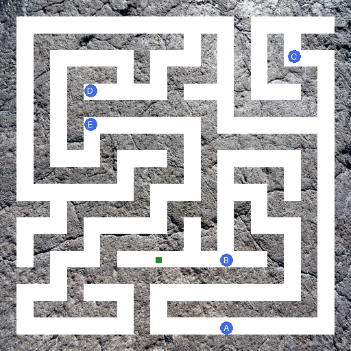 Maze sample