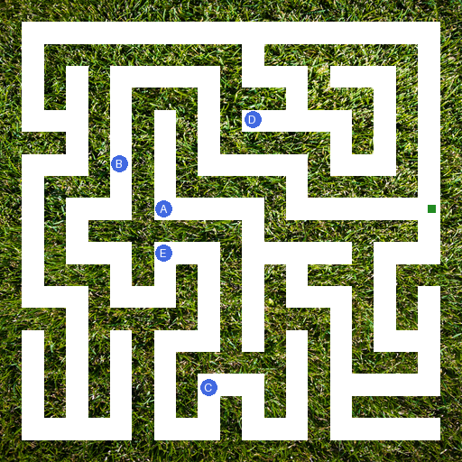 Maze sample